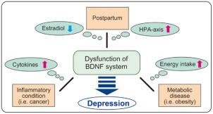 BRAIN-DERIVED NEUROTROPHIC FACTOR DEFICIENCY