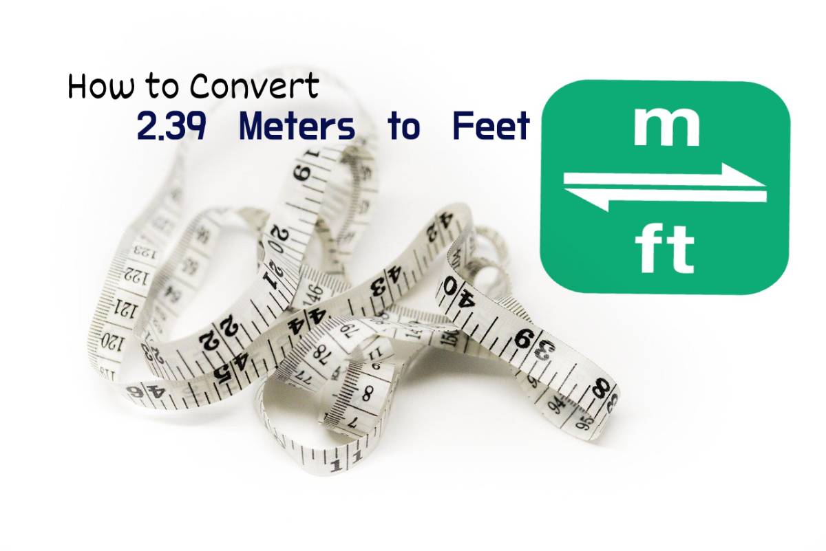 2.39 meters to feet