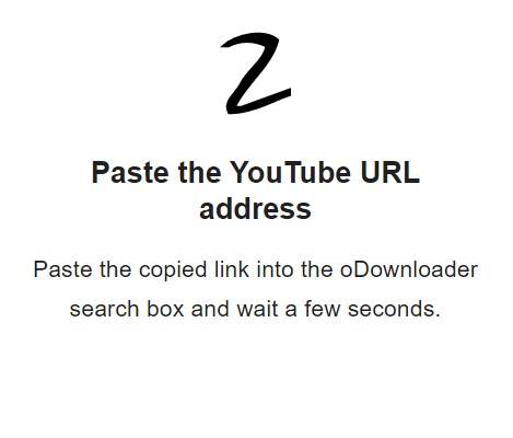 Paste the YouTube URL