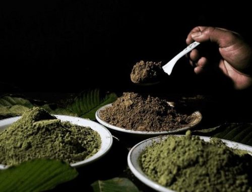 Why Is Black Kratom Trending Amongst People?