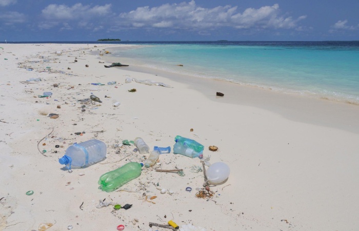 India-France ties on the Single-use Plastic