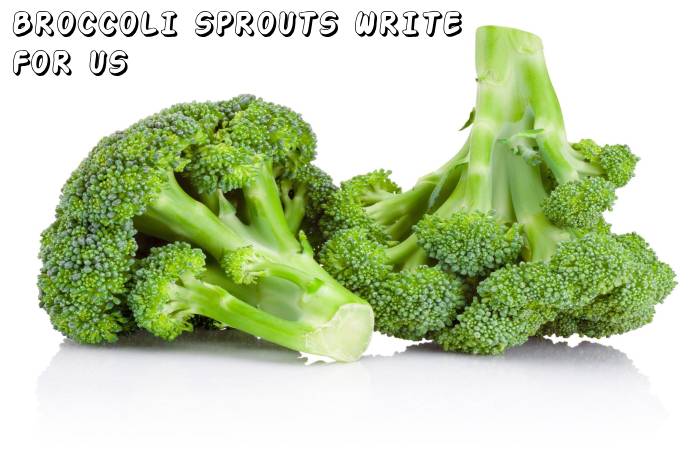 Broccoli Sprouts