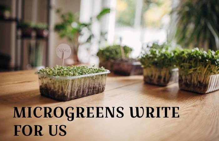 Microgreens write for us