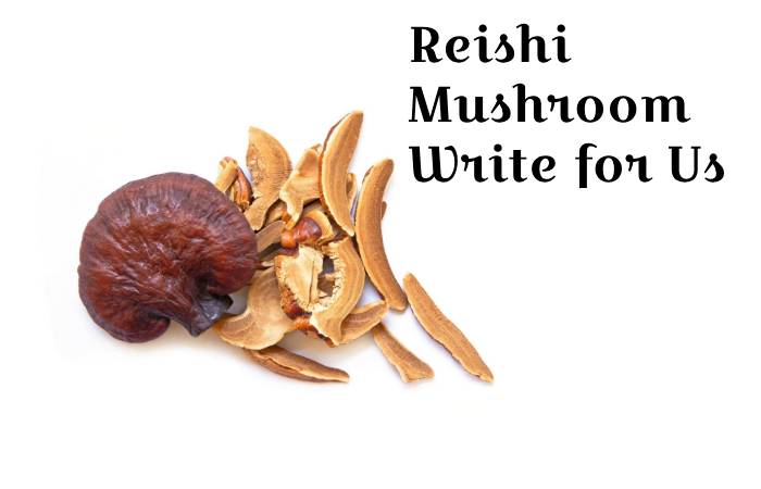 Reishi Mushroom write for us