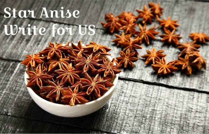 Star Anise write for us