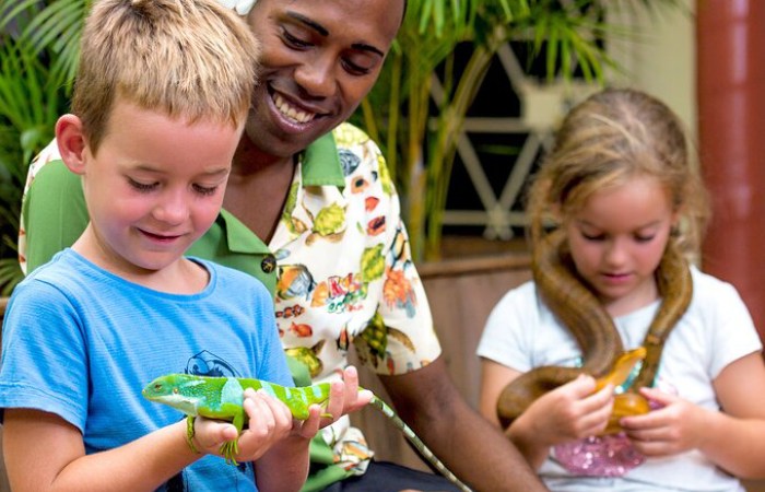 Additional Wild Animal Exhibits