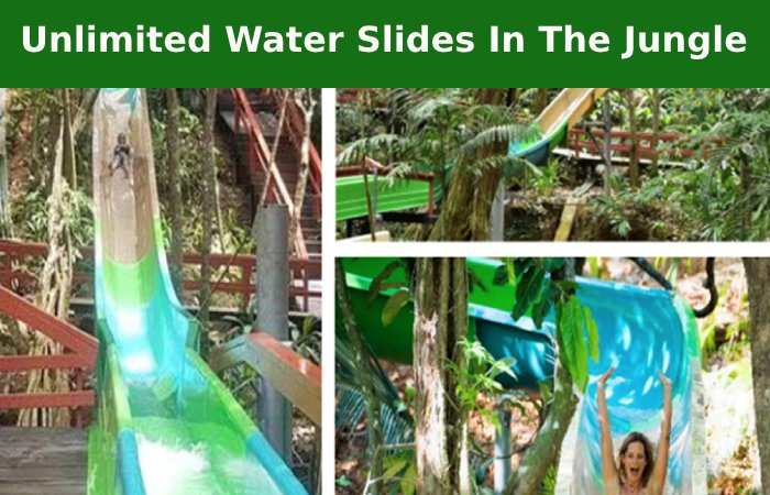 Unlimited Water Slides In The Jungle