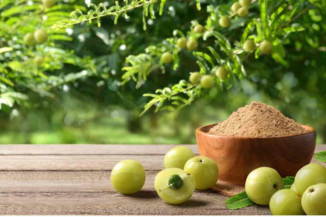 amla in daily diet