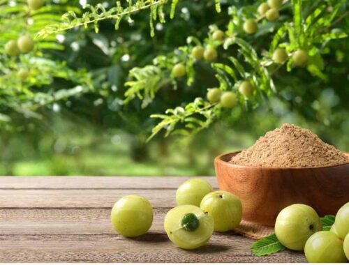 amla in daily diet