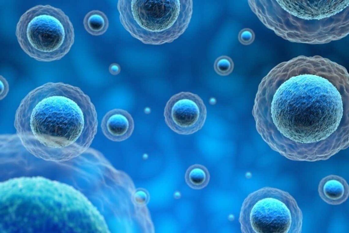 exosomes