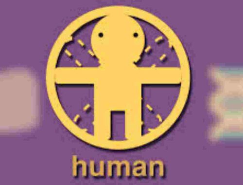 how to make a human in little alchemy