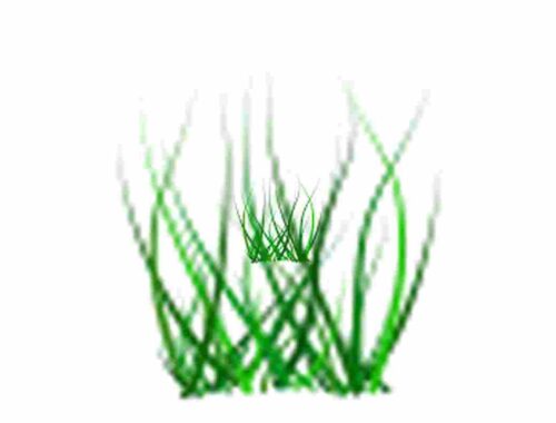 how to make grass in little alchemy