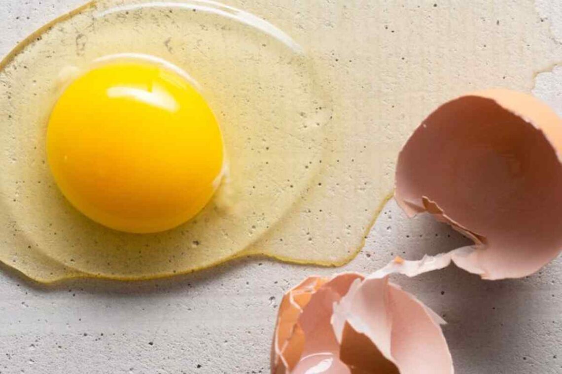 how much protein in an egg
