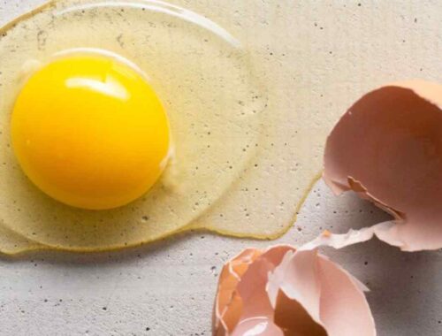 how much protein in an egg