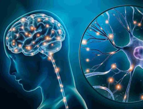 serotonin