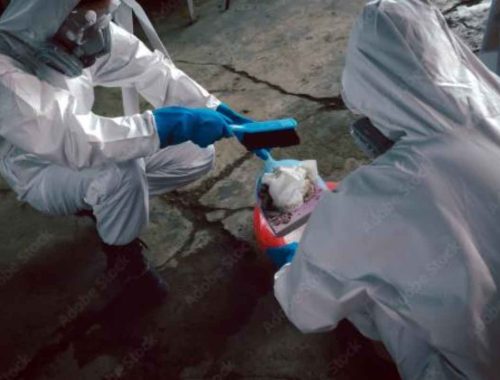 How to Choose an After Death Cleanup Services in Portland