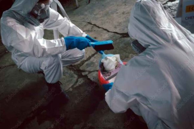 How to Choose an After Death Cleanup Services in Portland